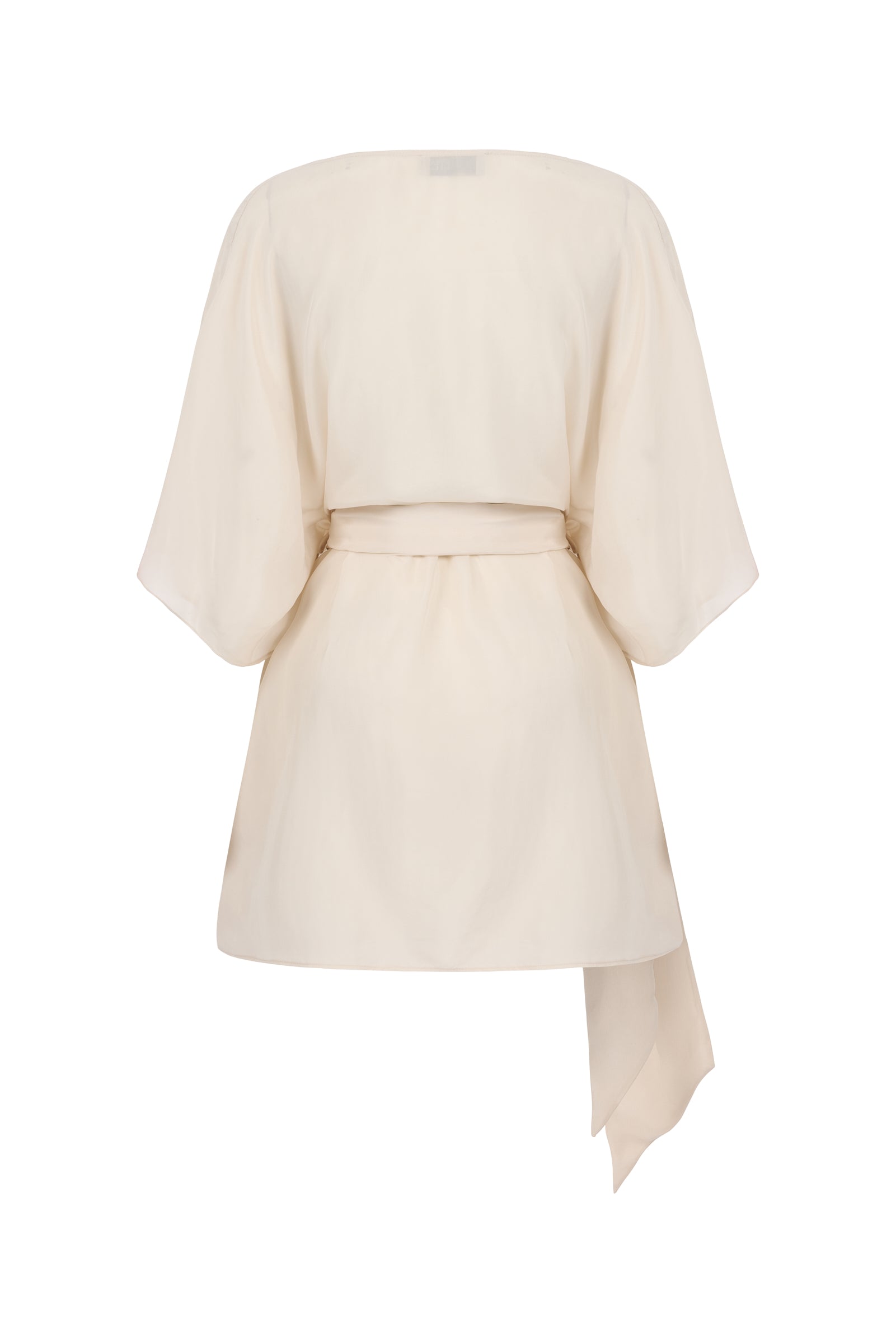 BRIGITTE %100 Vegan Silk Dress