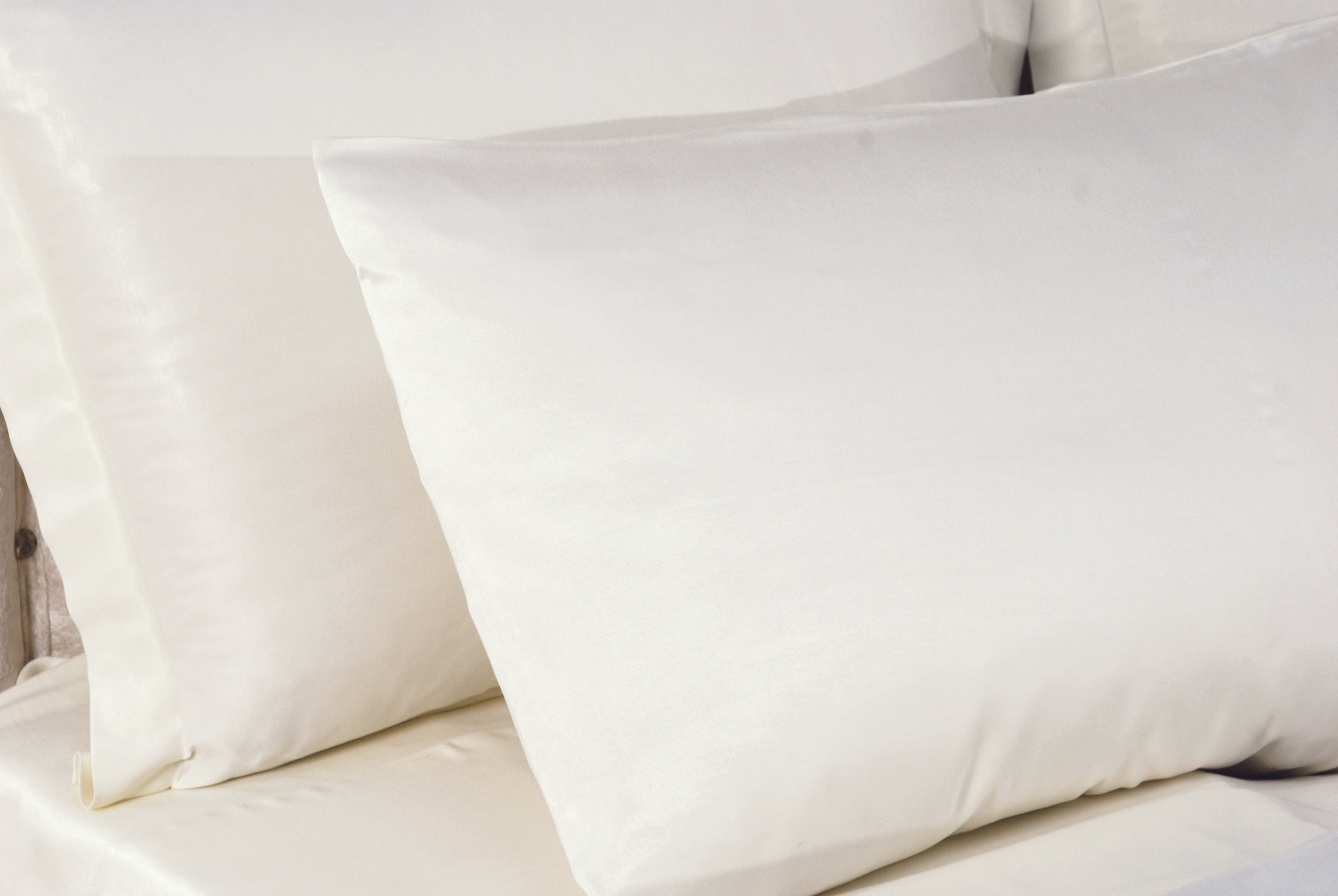 100% Vegan Silk Pillow Case Set